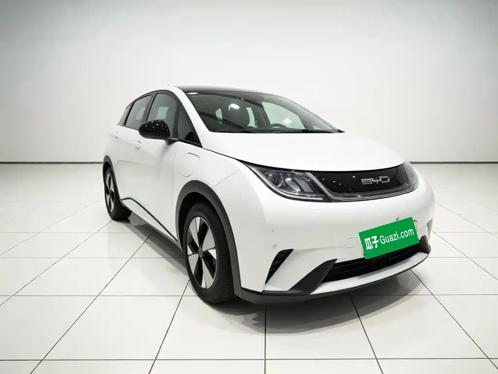 BYD Dolphin — миниатюра 3