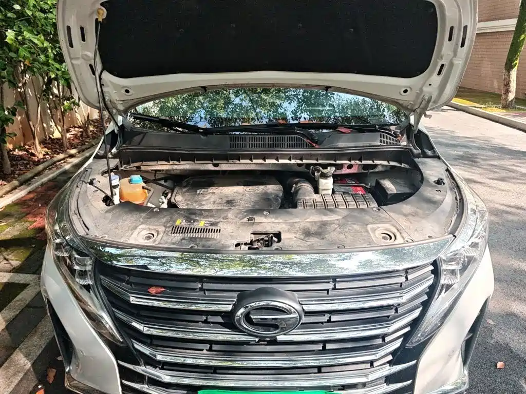 GAC Motor Trumpchi M8 — миниатюра 21
