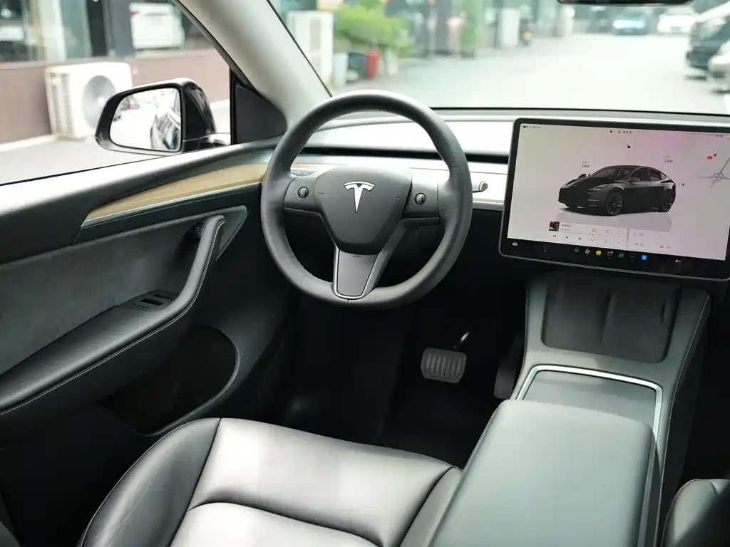 Tesla Model Y — миниатюра 15