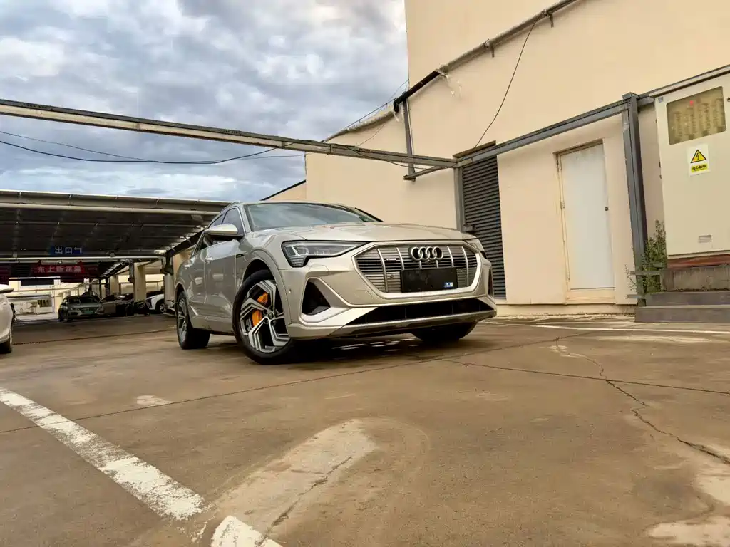 Audi e-tron — миниатюра 2
