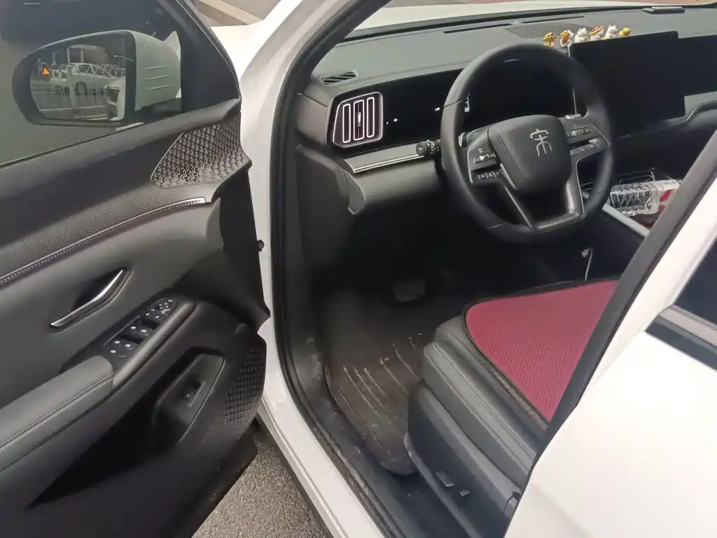 BYD Pro New Energy — миниатюра 17