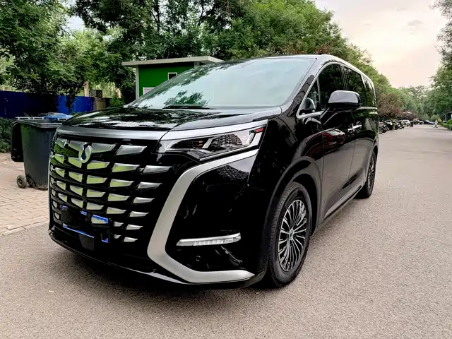 2023 Denza D9