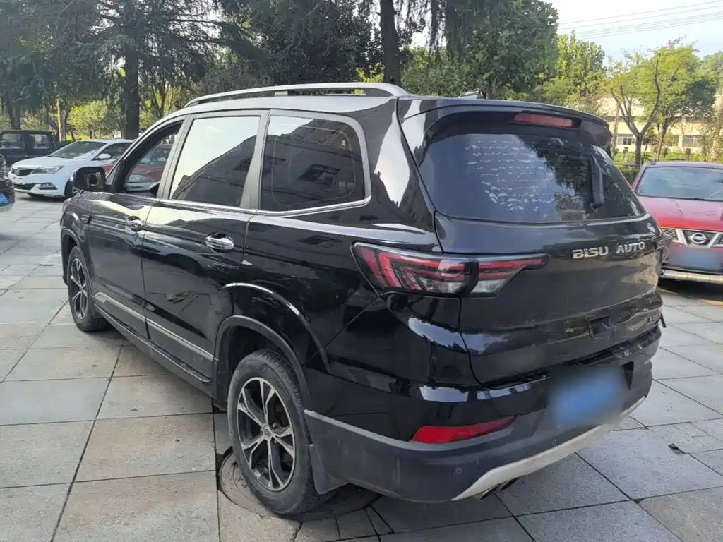 Bisu Bisu T5 — миниатюра 5