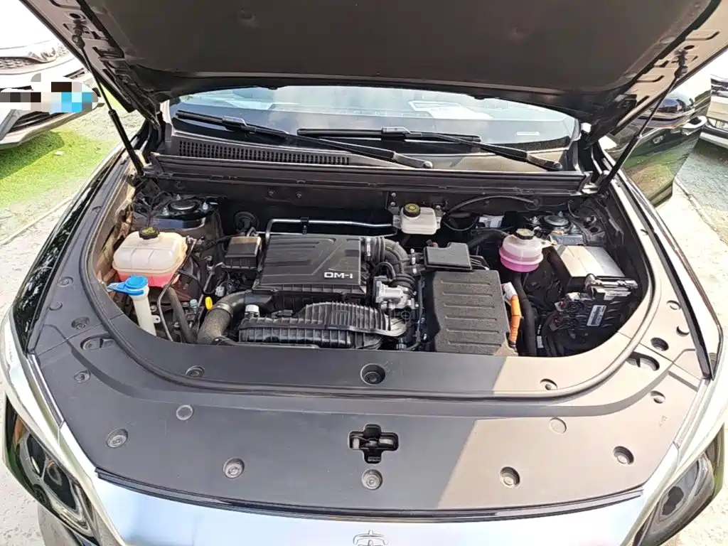 BYD Pro New Energy — миниатюра 20