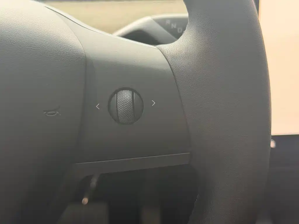 Tesla Model Y — миниатюра 12