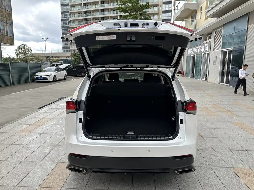 Lexus NX 2017 300