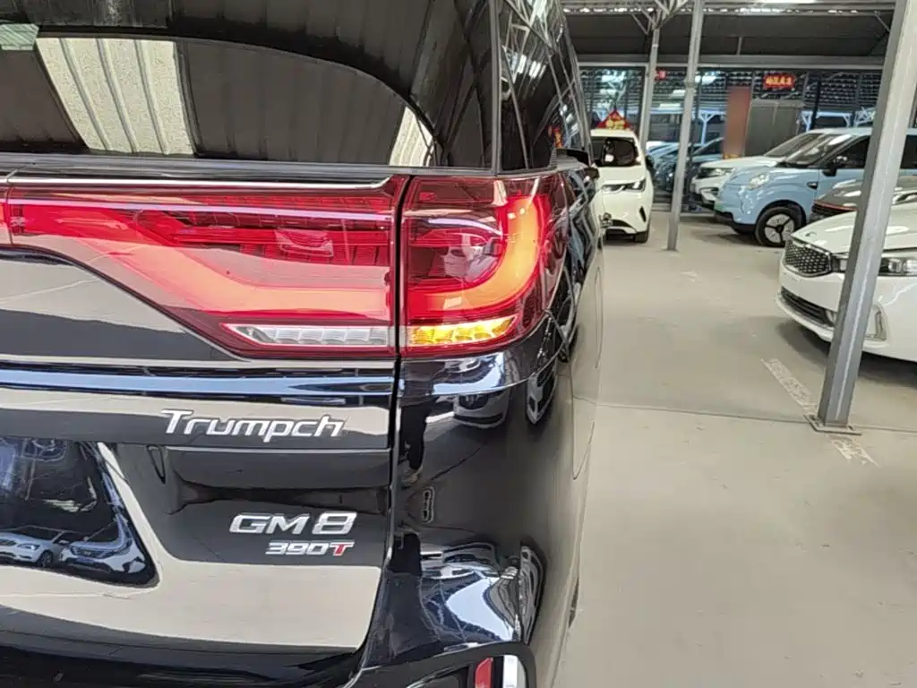 GAC Motor Trumpchi M8 — миниатюра 24