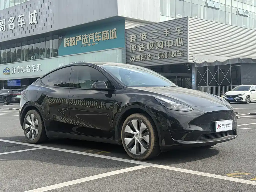 Tesla Model Y — миниатюра 3