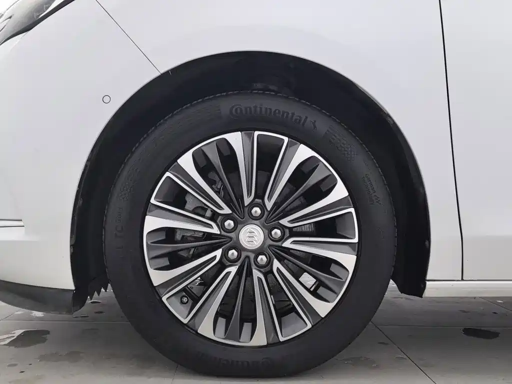 Buick GL8 — миниатюра 17