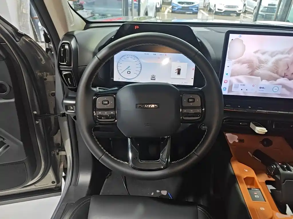 Haval Big Dog PLUS New Energy — миниатюра 11