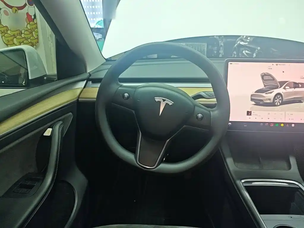 Tesla Model Y — миниатюра 11