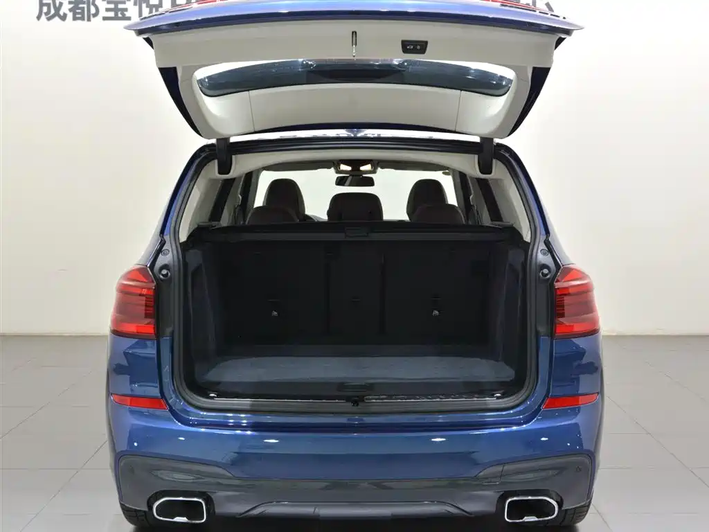 BMW X3 2021 xDrive30i Lead M Sport