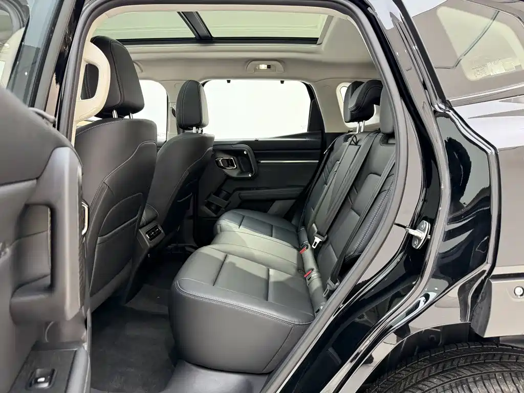 Haval Big Dog PLUS New Energy — миниатюра 19