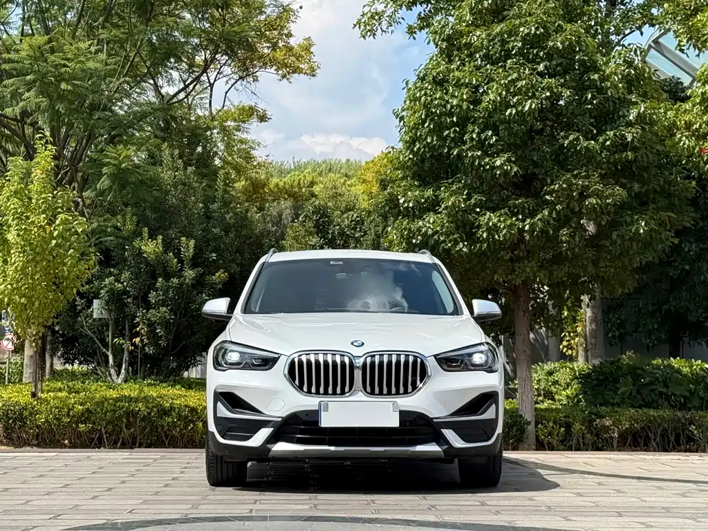 BMW X1 — миниатюра 2