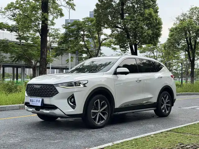 2019 Haval F7