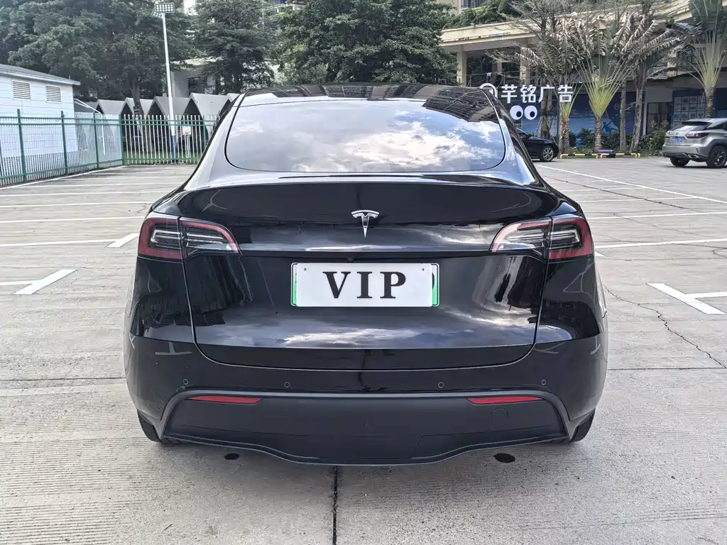 Tesla Model Y — миниатюра 6