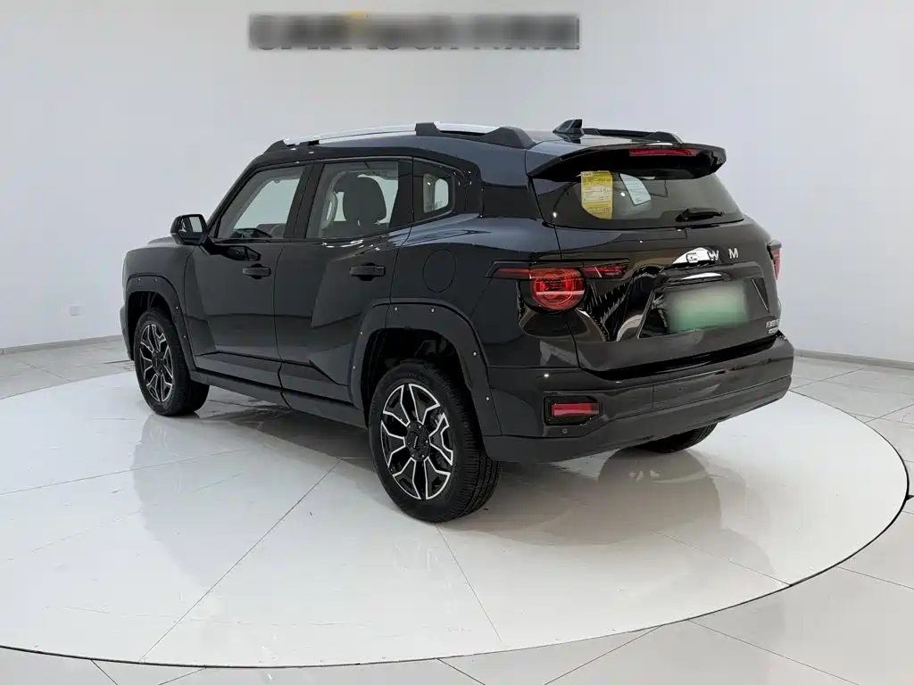 Haval Big Dog PLUS New Energy — миниатюра 8
