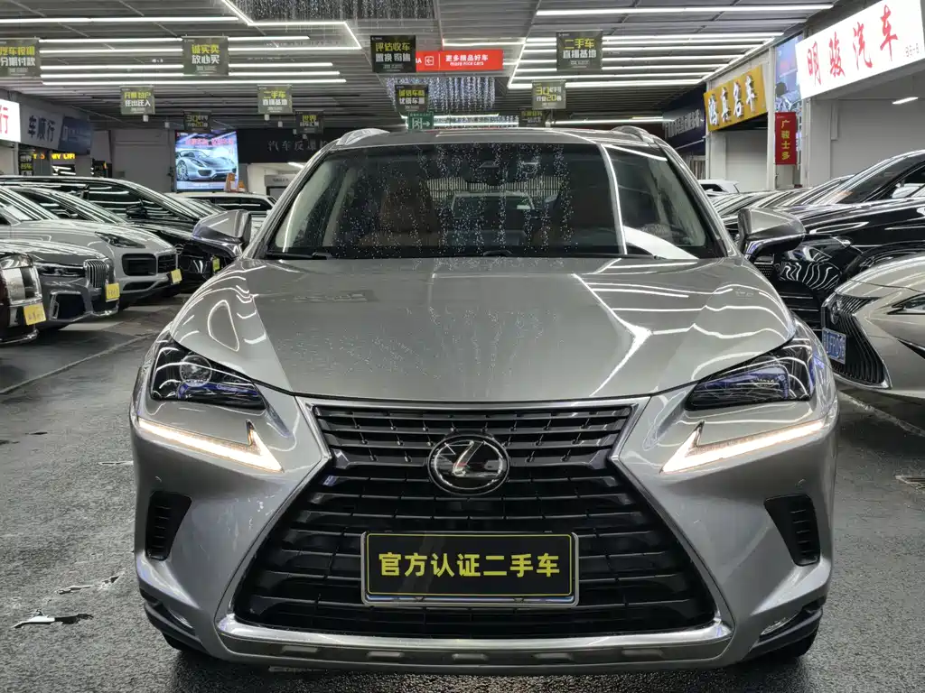 Lexus NX 2018 200 V