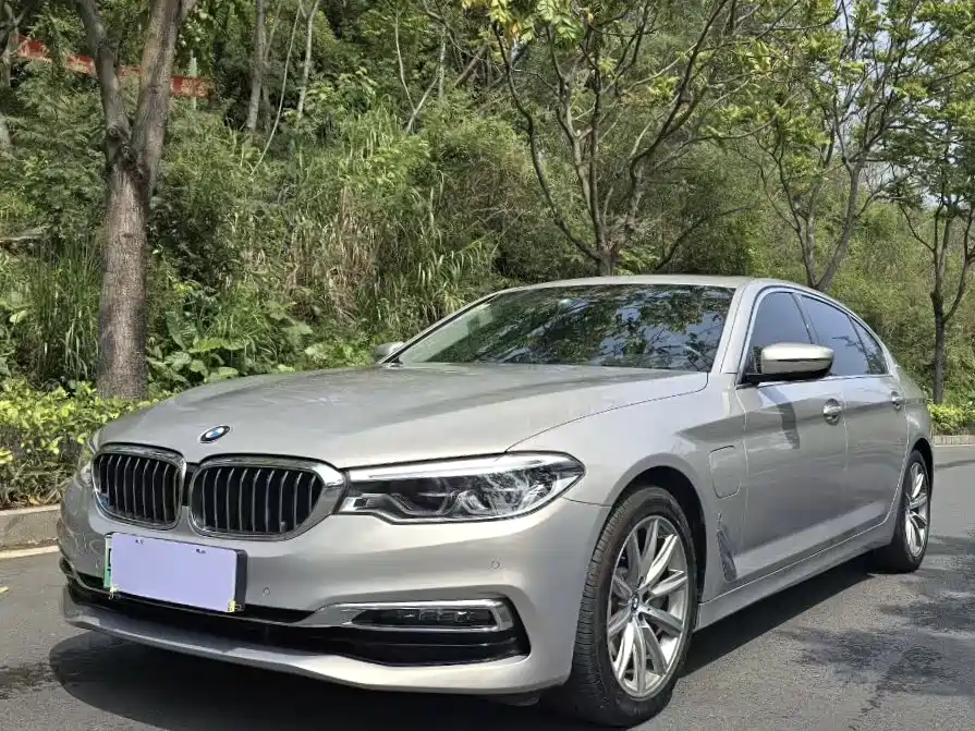 BMW 5 Series New Energy 2018