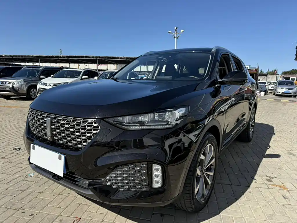 Wey Wey VV6