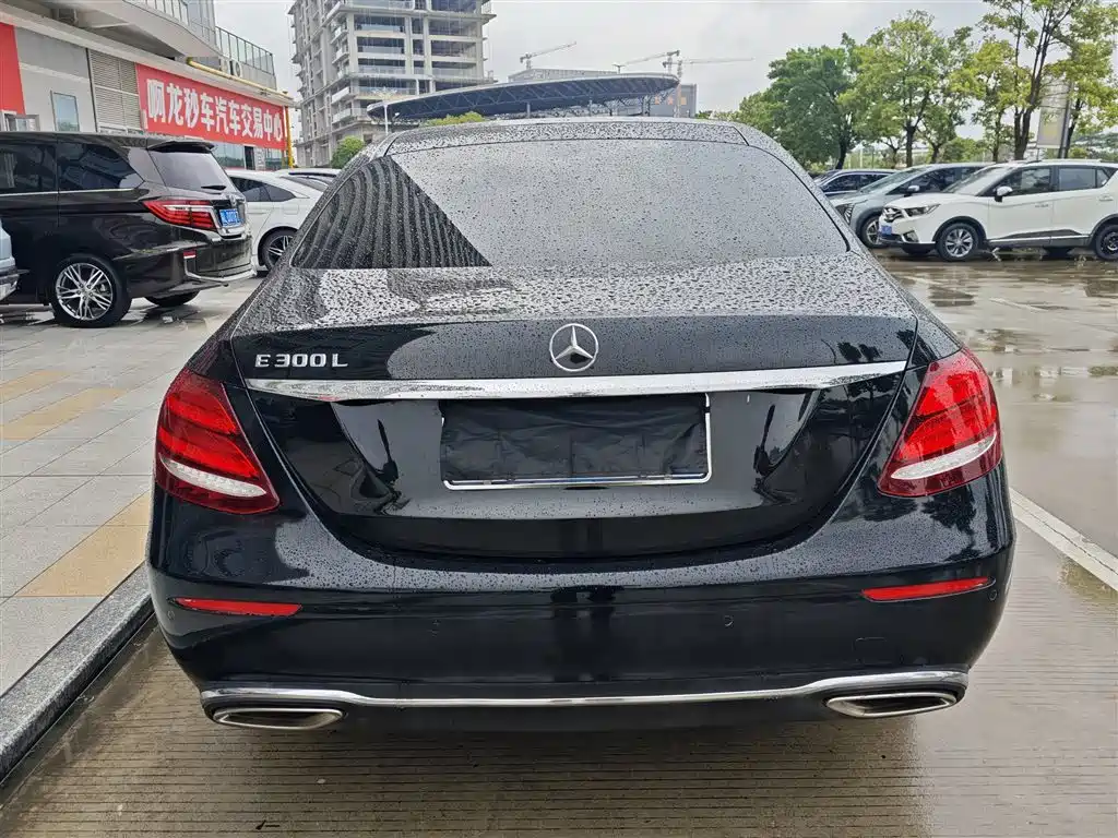 Mercedes-Benz E-Class E 2020 E 300 L Luxury