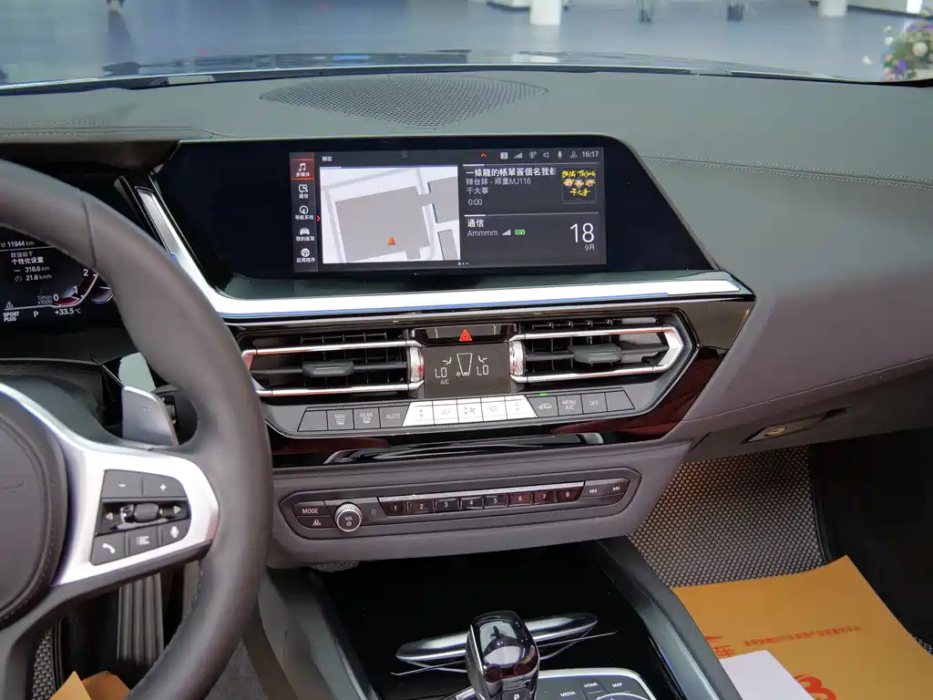 BMW Z4 — миниатюра 8