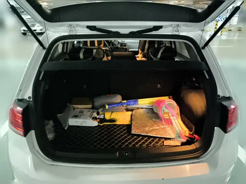 Volkswagen Golf — миниатюра 20