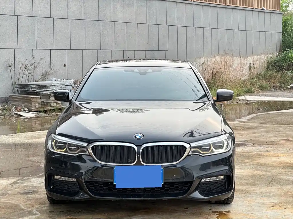 BMW 5 Series (Import) — миниатюра 2