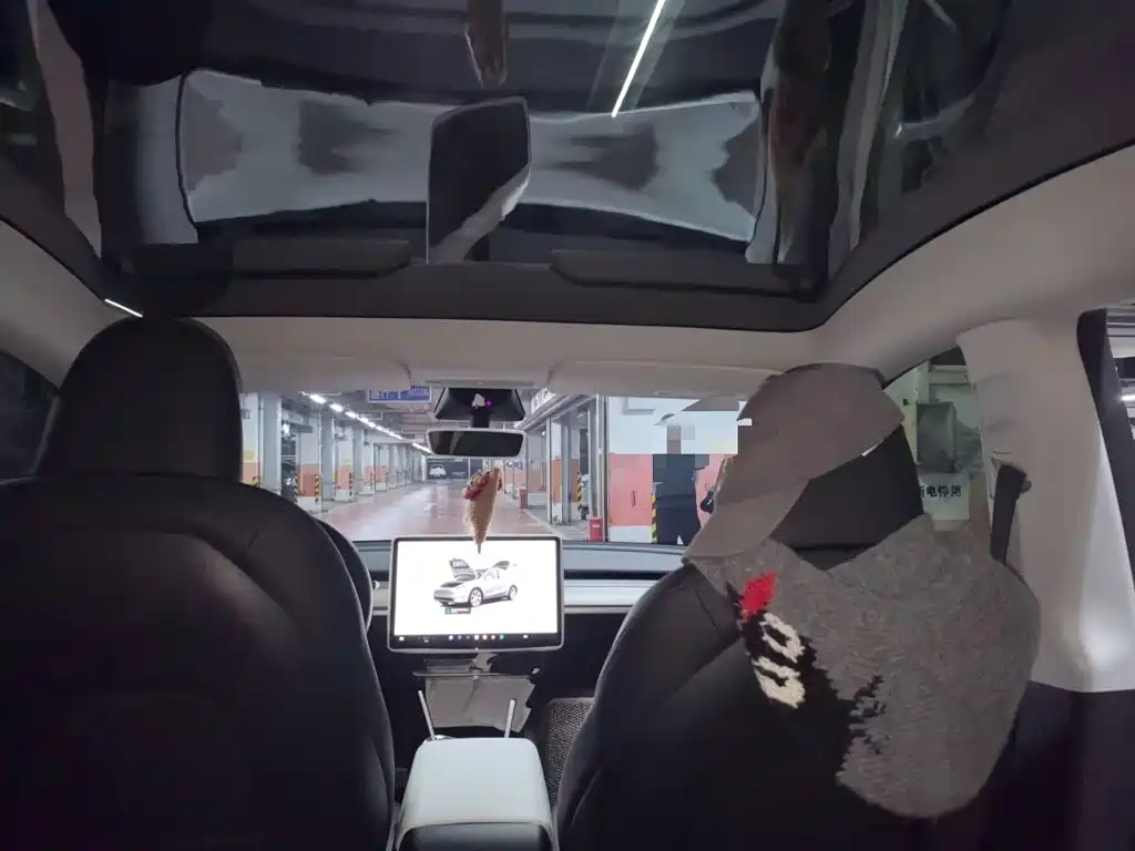 Tesla Model Y — миниатюра 9