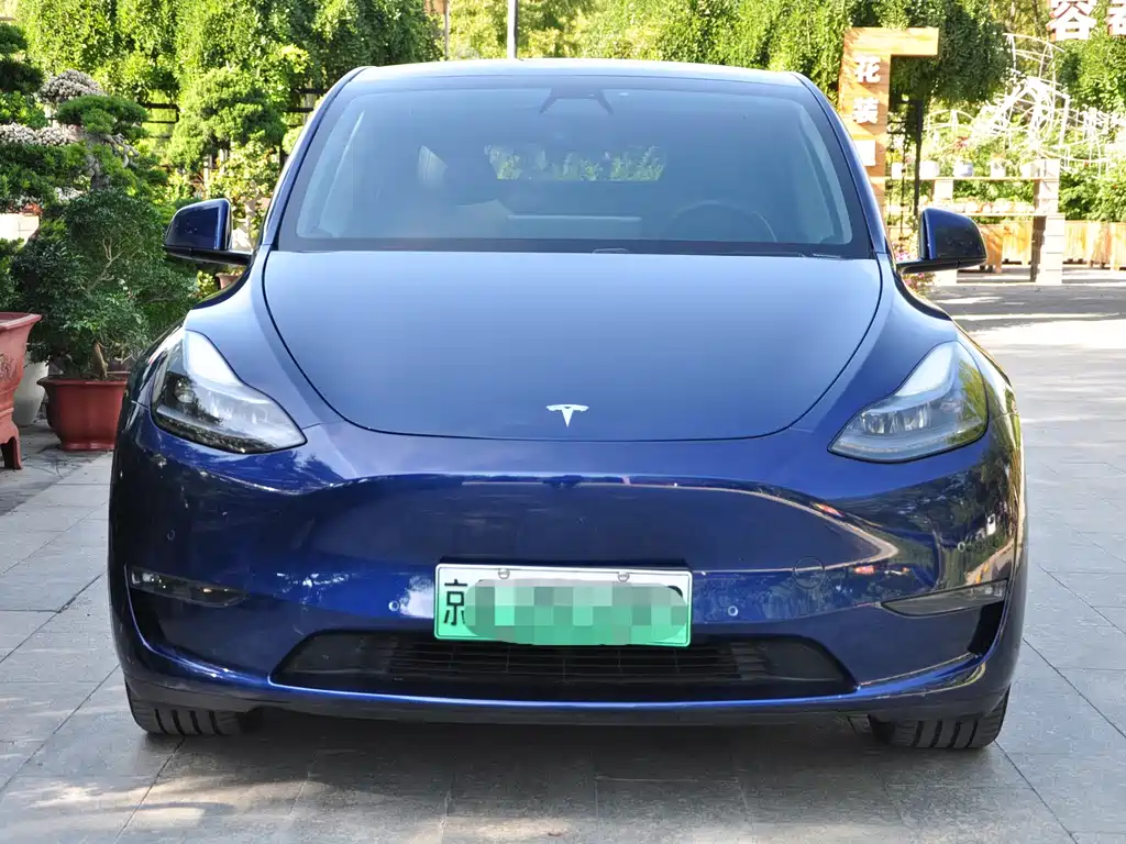 Tesla Model Y — миниатюра 2