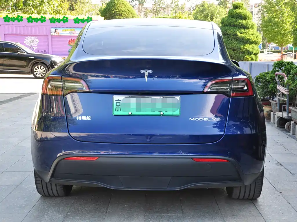 Tesla Model Y — миниатюра 5