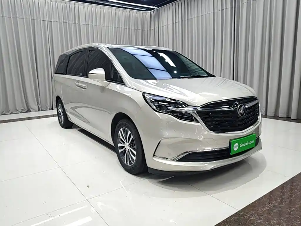 Buick GL8 — миниатюра 4