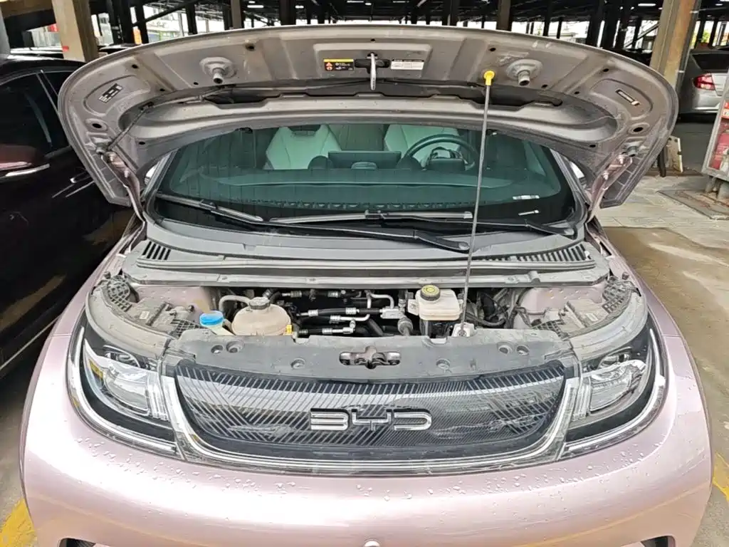 BYD Dolphin — миниатюра 20
