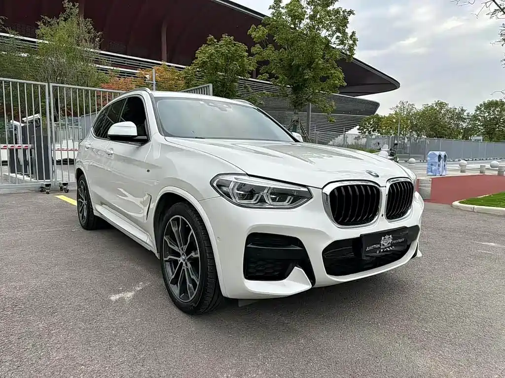 BMW X3 — миниатюра 3
