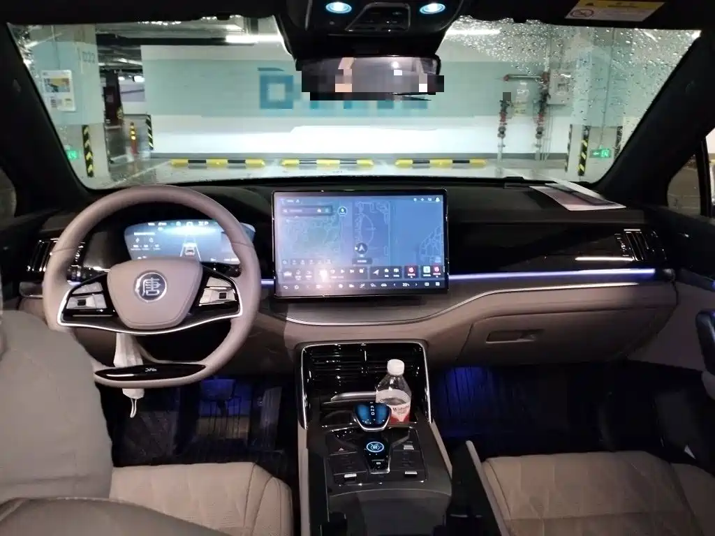 BYD Tang New Energy — миниатюра 13
