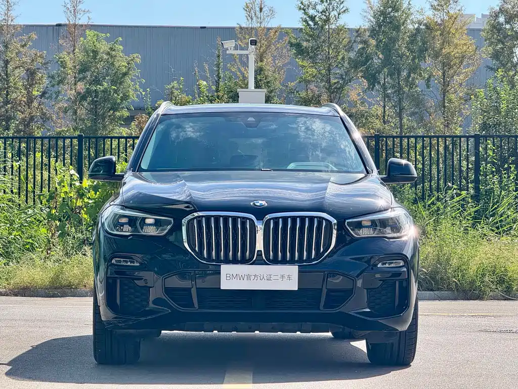 BMW X5 (Import) — миниатюра 2