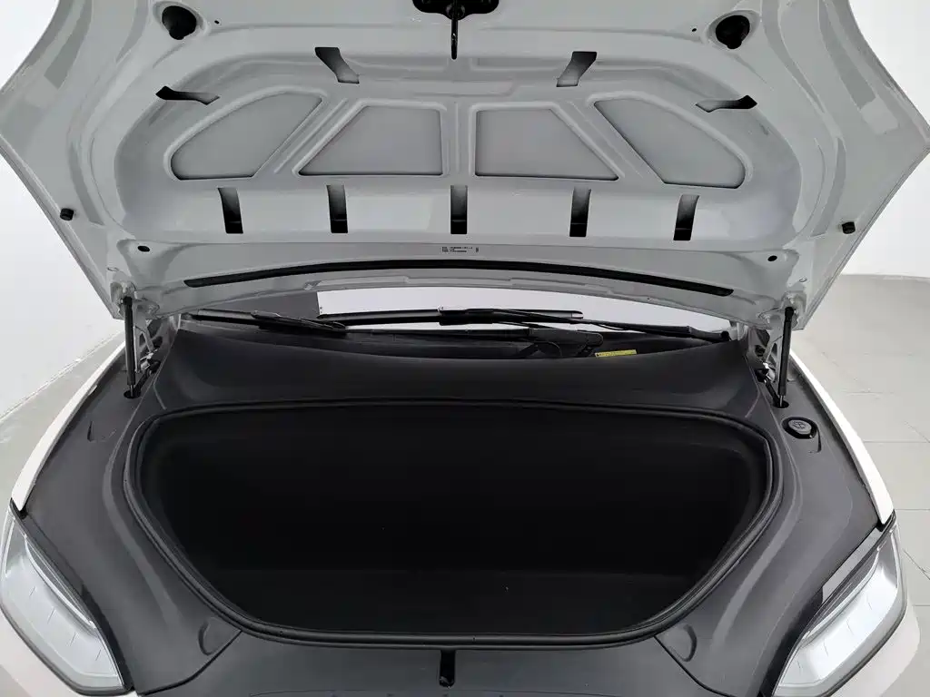 Tesla Model X — миниатюра 6