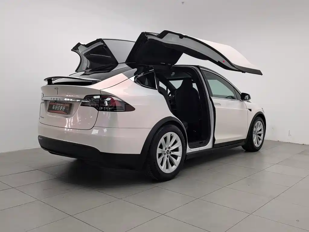 Tesla Model X — миниатюра 2