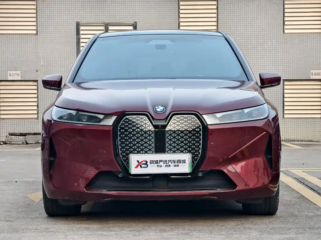 BMW iX — миниатюра 2