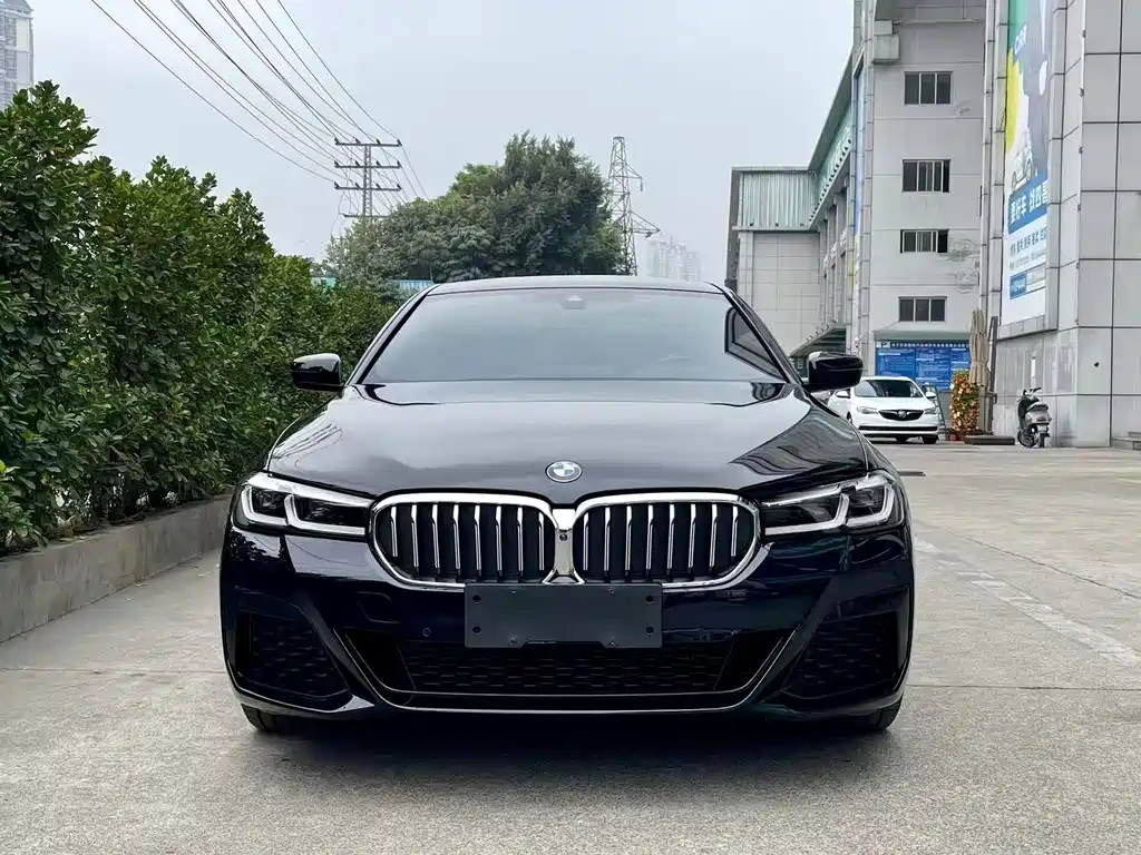 BMW 5 Series — миниатюра 2