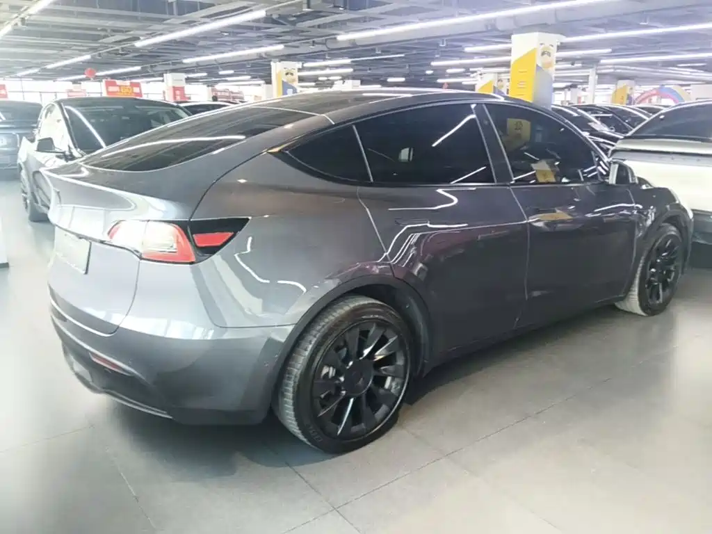 Tesla Model Y — миниатюра 7