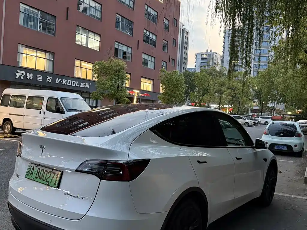 Tesla Model Y — миниатюра 3