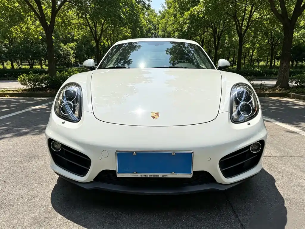 Porsche Cayman — миниатюра 2