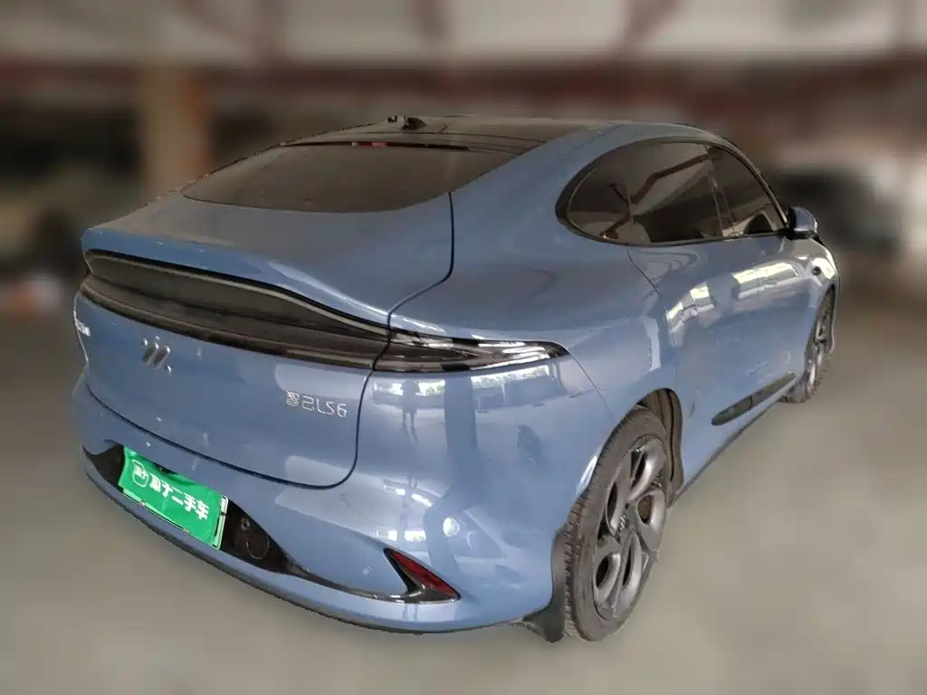 IM IM LS6 — миниатюра 4