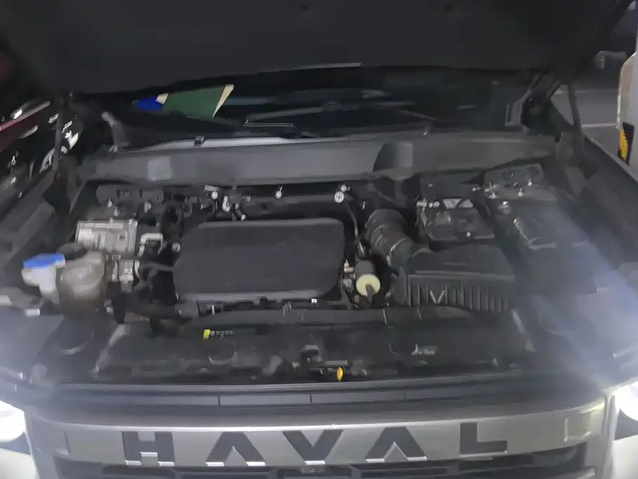 Haval Big Dog — миниатюра 10
