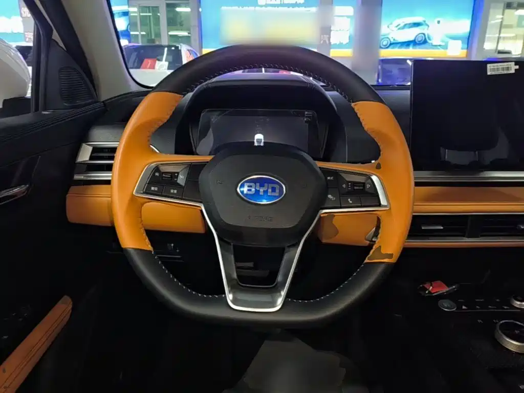 BYD e2 — миниатюра 11