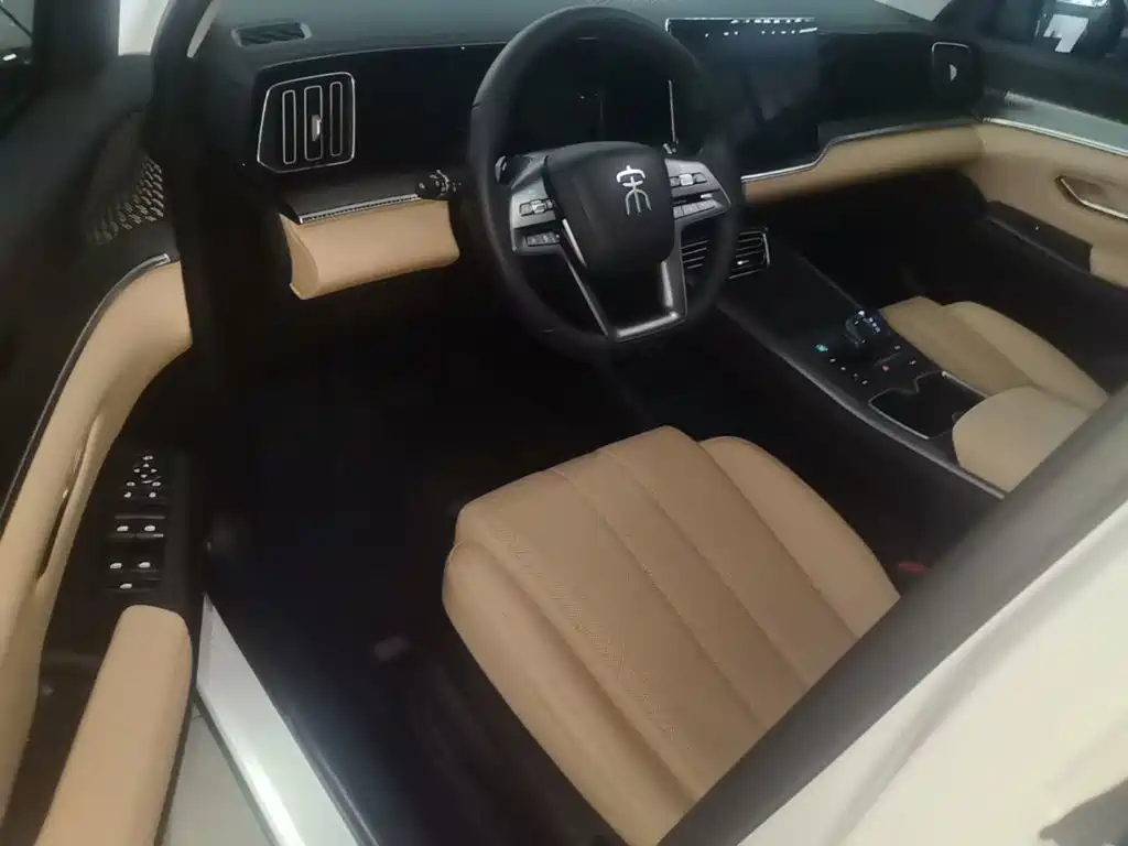 BYD Pro New Energy — миниатюра 16