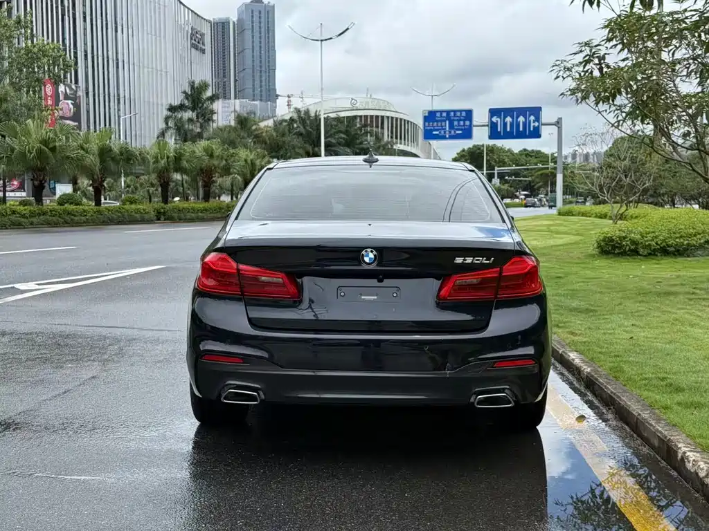 BMW 5 Series 5 2019 530Li Lead M Sport