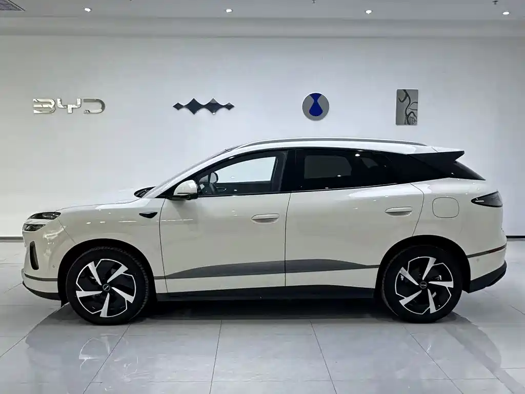 BYD Sealion 06 — миниатюра 2