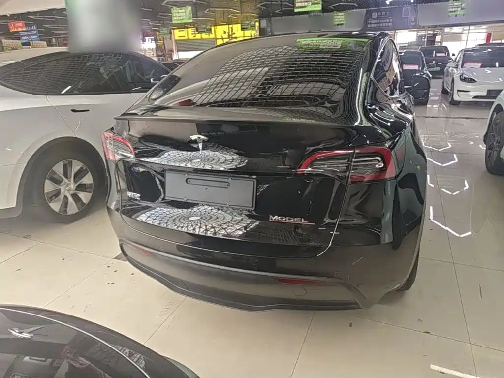 Tesla Model Y — миниатюра 6